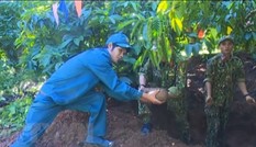 Bản tin 8H: Phát hiện 180 quả đạn pháo trong rẫy cà phê