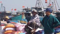 Cảnh ngư dân phấn khởi ra khơi đầu năm lấy lộc