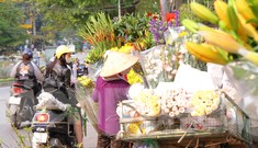 Hoa tươi sau Tết ở Hà Nội rớt giá thê thảm chưa từng thấy