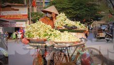 Hà Nội mùa hoa bưởi ngát hương