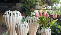 Thị trường 4/1: Lọ hoa 'bàn tay Phật' giá nửa triệu đồng, táo muối Hải Phòng gây 'sốt'