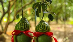 Thị trường 3/2: Bưởi Tết rớt giá, nhà hàng quán nhậu Hà Nội đóng cửa vì COVID-19