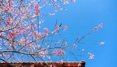 Thời tiết đẹp kéo dài, vùng núi phía bắc mưa dông