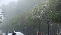 Miền Bắc sương mù kéo dài, TPHCM trời nắng không mưa