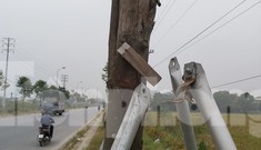 Vừa thay mới, hàng ngàn cọc chống cây xanh ngoại thành Hà Nội đã gãy đổ