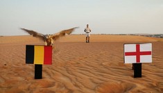 Tranh hạng 3 World Cup: ‘Tiên tri’ chim cắt dự đoán Bỉ thắng Anh