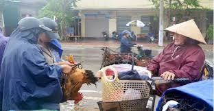 Hồn nhiên mua bán gia cầm ngay trong vùng dịch cúm A/H5N6