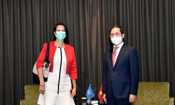 Bộ trưởng Bùi Thanh Sơn trong cuộc gặp Đặc phái viên LHQ về tình hình Myanmar. (Ảnh: Mofa)