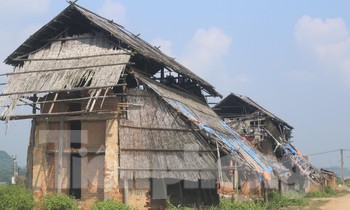 Ngổn ngang hàng trăm lò ngói bỏ hoang ở Nghệ An