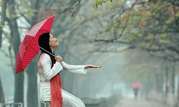 Miền Bắc đêm và sáng có sương mù, mưa phùn