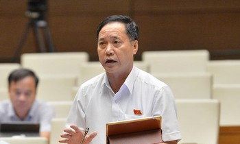 Theo ĐBQH Nguyễn Mai Bổ bổ sung giám định cho VKSNDTC là nhằm chống oan sai