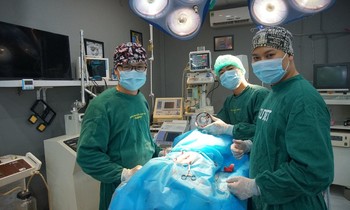 Chàng trai lập tổng đài tư vấn sức khỏe miễn phí cho chó, mèo