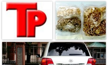 Bản tin Hình sự 18H: Chủ tịch VN Pharma buôn lậu thuốc chữa ung thư