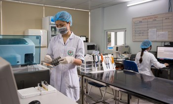 Giáo dục đại học Việt Nam có thêm 2 lĩnh vực được xếp hạng quốc tế