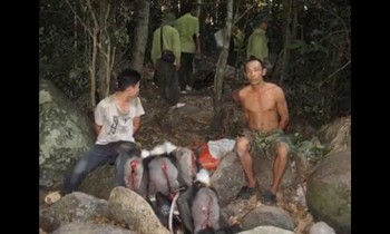 Đối tượng Tuấn (không mặc áo) từng bị bắt năm 2011 khi bắn 5 con voọc tại VQG Núi Chúa