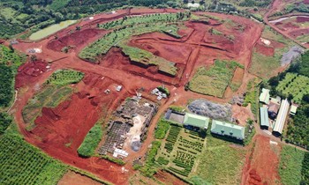 Một đồi chè ở Bảo Lộc bị phá nát