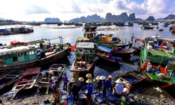 Quảng Ninh đóng cửa chợ đầu mối hải sản để chống dịch