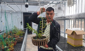Công an thông tin vụ giao dịch lan đột biến gần 300 tỷ
