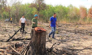 Hiện trường phá rừng ở xã Ia Mơ
