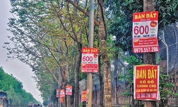 Cơn sốt đất để lại nhiều hệ luỵ