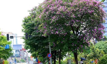 Miền Bắc mát mẻ trước khi nắng nóng trở lại