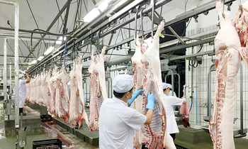 Giá lợn giảm xuống mức kỷ lục, đề xuất siết nhập khẩu thịt ngoại
