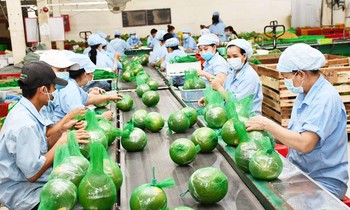 4 tháng, xuất khẩu nông sản Việt Nam đạt hơn 17 tỷ USD