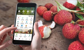 Hải Dương bán nông sản trên chợ online Alibaba, Lazada, Sendo