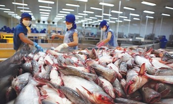 Cục Thú y bị tố đánh tráo khái niệm, gây khó cho doanh nghiệp?