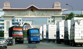 Yêu cầu doanh nghiệp cấp tốc đăng ký mã xuất khẩu nông sản sang Trung Quốc