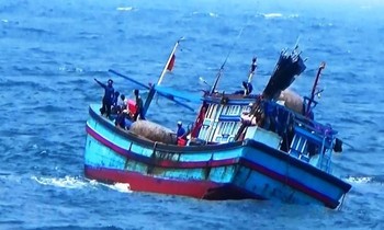 Nhiều tàu cá bị chìm, 12 người chết và mất tích do mưa lũ