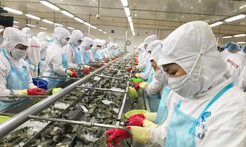 Doanh nghiệp cần vốn vay để khôi phục sản xuất, kinh doanh. Ảnh: Nam Khánh
