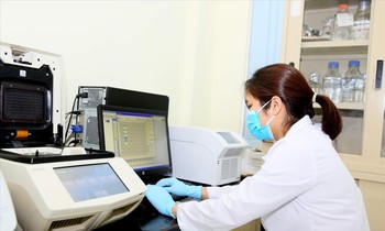 Đề tài nghiên cứu về giáo dục phải giải quyết được vấn đề thực tiễn đặt ra. Ảnh: Diệp An