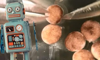 Hình ảnh các xenobot có thể tự nhân bản. Đồ họa: CNN
