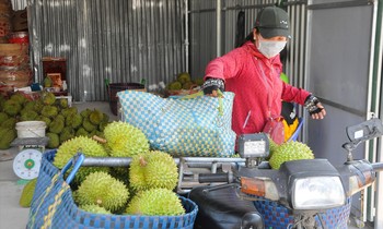 Hạ tầng logistics thiếu và yếu kìm hãm nông sản ĐBSCL