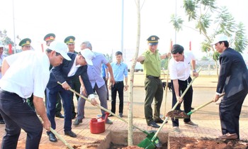 Leaders of People's Committee of Dak Mil district participated in planting trees after the launching ceremony