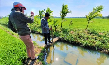 Kênh thấp hơn mặt ruộng