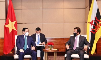 Thủ tướng Chính phủ Phạm Minh Chính hội kiến Quốc vương Brunei