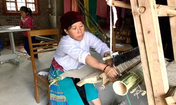Nữ giám đốc Sùng Thị Sy