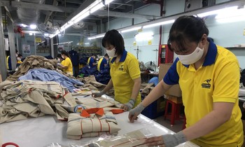 Công ty Dony tăng tốc với 200% công suất, ký kết được nhiều hợp đồng xuất khẩu ngay sau khi TPHCM “mở cửa” trở lại. Ảnh: U.P