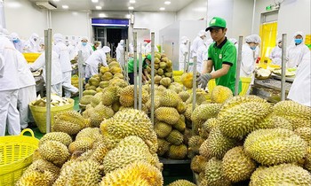 Doanh nghiệp đang tăng tốc sản xuất, đáp ứng các đơn hàng cuối năm