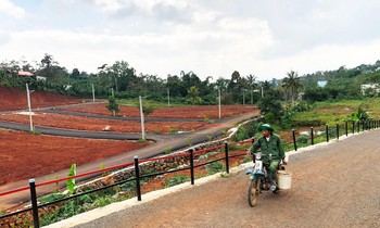 Tùy tiện phân lô mở đường, dựng trụ điện trên địa bàn TP Bảo Lộc