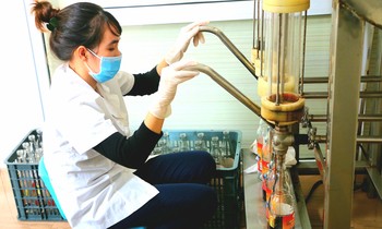 Sau khi chưng cất ít nhất 12 tháng, nước mắm sẽ được qua các công đoạn lọc thô, lọc tinh rồi mới đóng chai Ảnh: Ngọc Mai