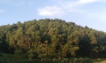 Chánh thanh tra huyện bị tố sửa hồ sơ lô đất 20.000 m2: Nhiều trang tài liệu bị thay thế