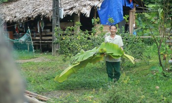 Vị chiến sĩ người Tày Vi Văn Thịnh với cuộc sống hàng ngày bên căn nhà cũ
