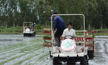 Khảo sát ảnh hưởng của khoảng cách hàng sử dụng máy cấy lúa VP6 và VP7 D25