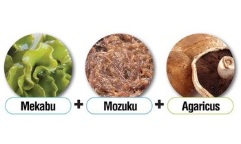 Fucoidan Mix AG là gì?
