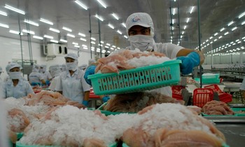 Chế biến thủy sản xuất khẩu ở ĐBSCL. Ảnh: CK