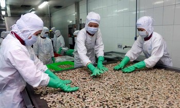 Xuất khẩu thủy sản sang Mỹ phục hồi mạnh