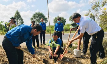Many activities to respond to Earth Hour in Can Tho